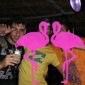 Reggae Night 2011-Playa El Flamingo- (57)