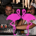 Reggae Night 2011-Playa El Flamingo- (62)
