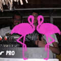 Reggae Night 2011-Playa El Flamingo- (68).JPG