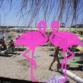 Playa El Flamingo-Day- (2).JPG
