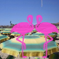 Playa El Flamingo-Day- (4).JPG