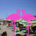 Playa El Flamingo-Day- (5)