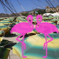 Playa El Flamingo-Day- (3).JPG