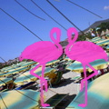 Playa El Flamingo-Day- (8).JPG