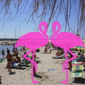 Playa El Flamingo-Day- (6).JPG