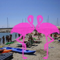 Playa El Flamingo-Day- (9).JPG