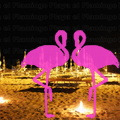 Playa El Flamingo-Day- (11).JPG