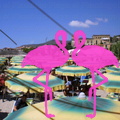 Playa El Flamingo-Day- (10).JPG