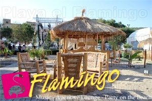 Playa El Flamingo-Day- (13)