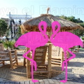Playa El Flamingo-Day- (13)