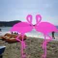 Playa El Flamingo-Day- (15).JPG