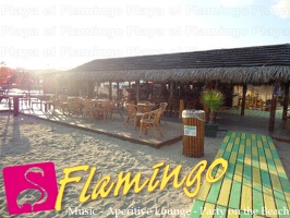 Playa El Flamingo-Day- (17)