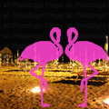 Playa El Flamingo-Day- (12).JPG