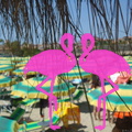 Playa El Flamingo-Day- (23)