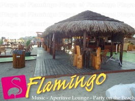 Playa El Flamingo-Day- (18)