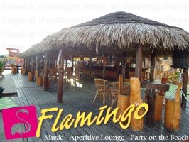 Playa El Flamingo-Day- (19)