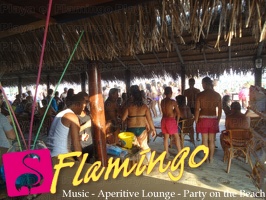Playa El Flamingo-Day- (28)