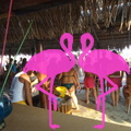 Playa El Flamingo-Day- (28).JPG
