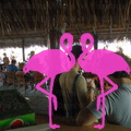 Playa El Flamingo-Day- (27)