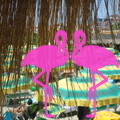 Playa El Flamingo-Day- (26)