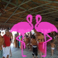 Playa El Flamingo-Day- (29)