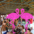Playa El Flamingo-Day- (32)