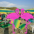 Playa El Flamingo-Day- (44)