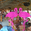 Playa El Flamingo-Day- (34)