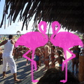 Playa El Flamingo-Day- (46)