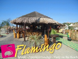 Playa El Flamingo-Day- (62)