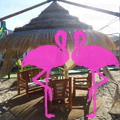 Playa El Flamingo-Day- (67).JPG