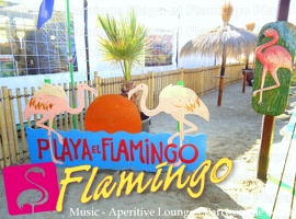 Playa El Flamingo-Day- (73)