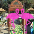 Playa El Flamingo-Day- (72).JPG