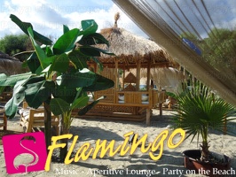 Playa El Flamingo-Day- (101)