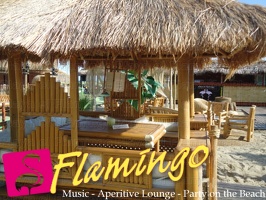 Playa El Flamingo-Day- (106)
