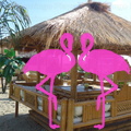 Playa El Flamingo-Day- (107).JPG