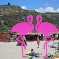 Playa El Flamingo-Day- (114)