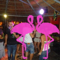 Noche Latina 2011-Playa El Flamingo (6)