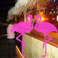 Noche Latina 2011-Playa El Flamingo (7)