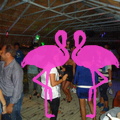 Noche Latina 2011-Playa El Flamingo (10)
