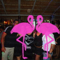 Noche Latina 2011-Playa El Flamingo (9)
