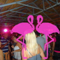 Noche Latina 2011-Playa El Flamingo (11)