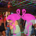 Noche Latina 2011-Playa El Flamingo (12)