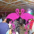 Noche Latina 2011-Playa El Flamingo (14)