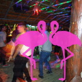 Noche Latina 2011-Playa El Flamingo (20)
