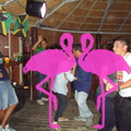 Noche Latina 2011-Playa El Flamingo (19)