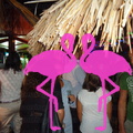 Noche Latina 2011-Playa El Flamingo (17)