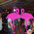 Noche Latina 2011-Playa El Flamingo (18)