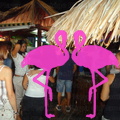 Noche Latina 2011-Playa El Flamingo (22)