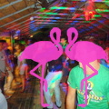 Noche Latina 2011-Playa El Flamingo (23)
